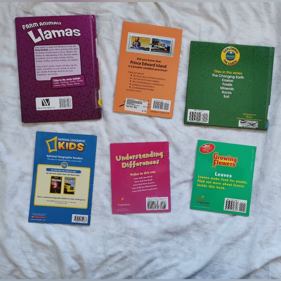 Mixture of Learning Books (Scholastic, Pebble, etc) - Picture 2 of 16